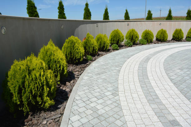 Driveway Repair Near Me in Micco, FL